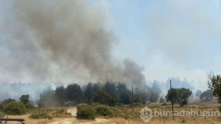 Bornova'daki alevler Buca'ya sıçradı