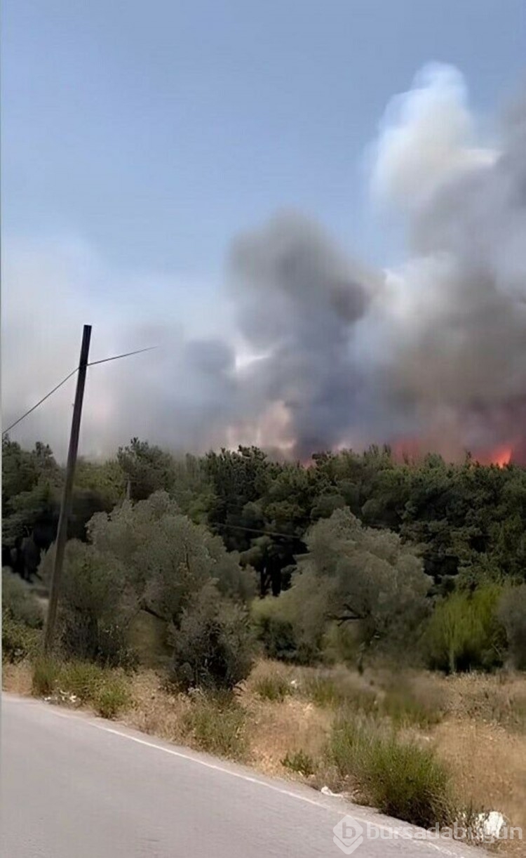 Bornova'daki alevler Buca'ya sıçradı