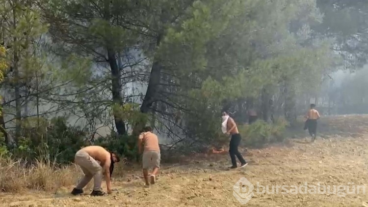 Bornova'daki alevler Buca'ya sıçradı