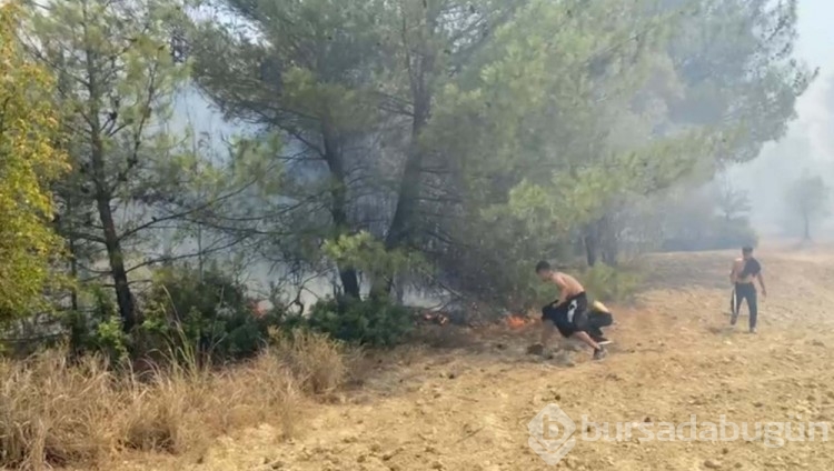 Bornova'daki alevler Buca'ya sıçradı