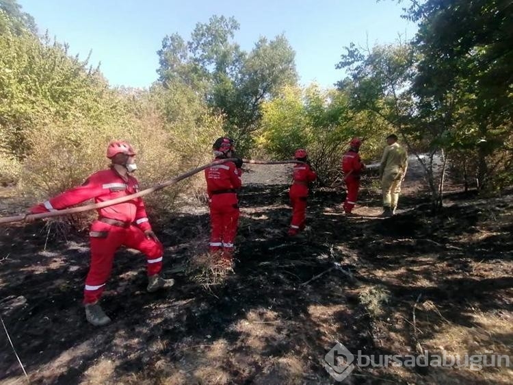Bulgaristan'dan Türkiye sınırına ulaşan yangın kontrol altına alındı!