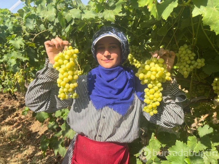 Avrupa ve Arap ülkeleri bu üzümün peşinde!