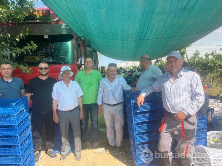 Avrupa ve Arap ülkeleri bu üzümün peşinde!