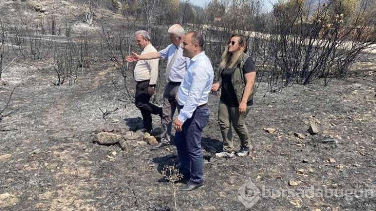 Karabük'te 'baca etkisi' yangın şiddetinin artmasına sebep oldu!
