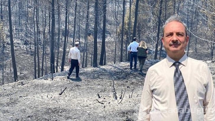 Karabük'te 'baca etkisi' yangın şiddetinin artmasına sebep oldu!