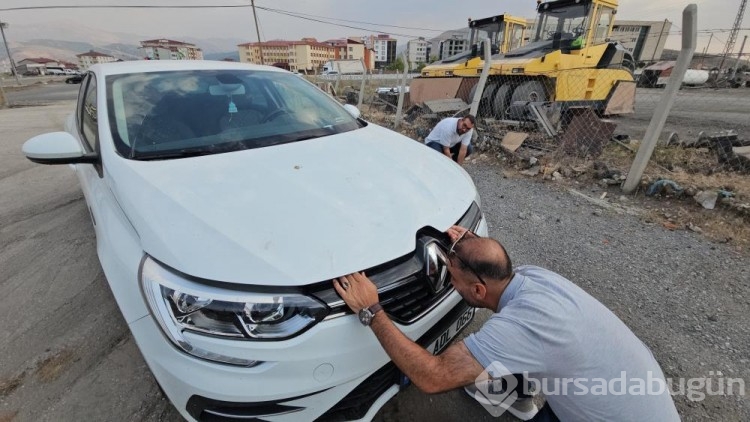 Yaramaz kediler iş başında! 