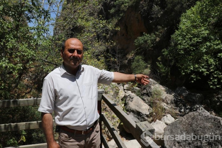 Tüm ihtişamını kaybetti!