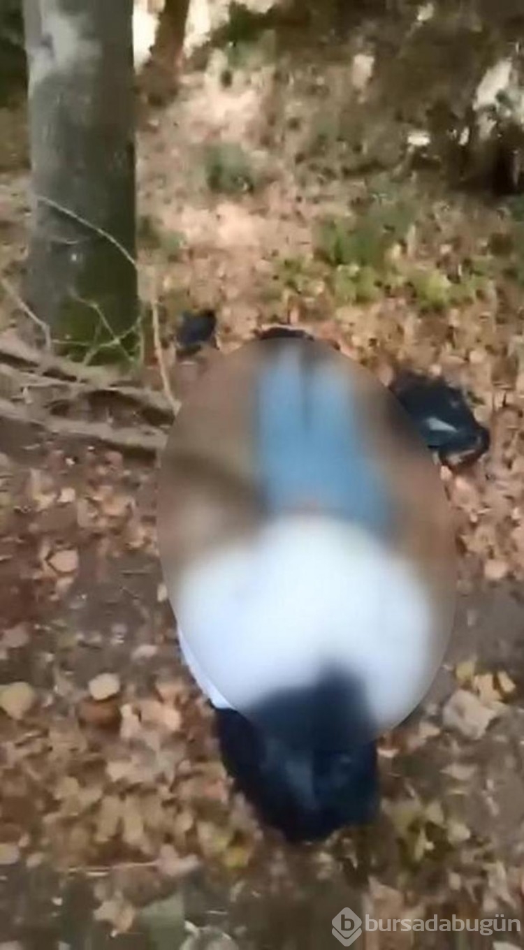Ormanlık alanda cansız bedeni bulundu! Eline not sıkıştırılmış halde