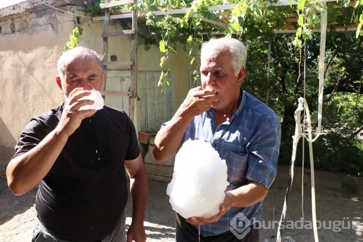 Yaz sıcağında değişik serinleme yöntemi