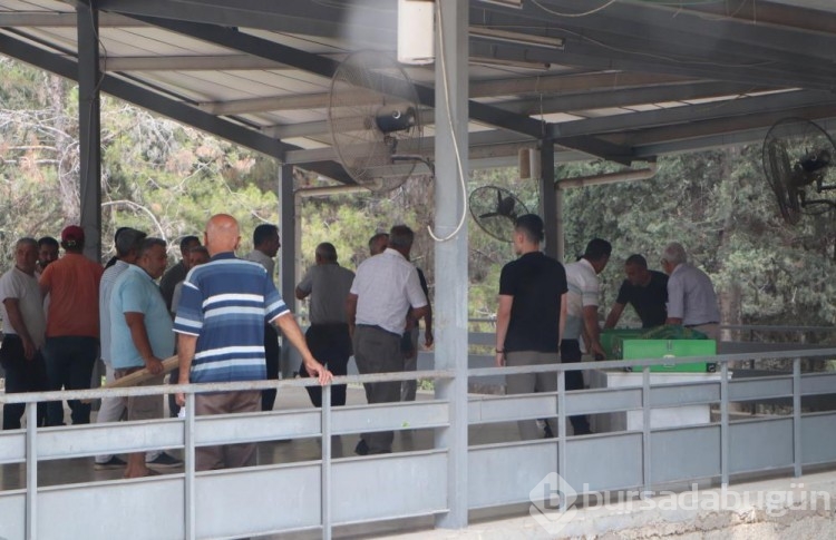 Cinnetin bıraktığı acı: Anne ve kızı yan yana, baba ayrı noktaya defnedildi