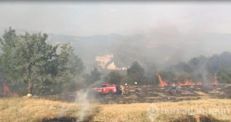 Manisa'da tarım arazisinde ki yangın kısa zamanda kontrol altına alındı!