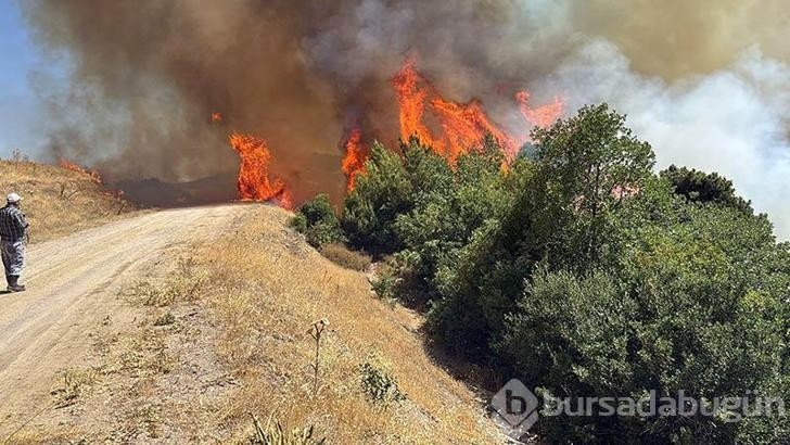 Manisa'da tarım arazisinde ki yangın kısa zamanda kontrol altına alındı!