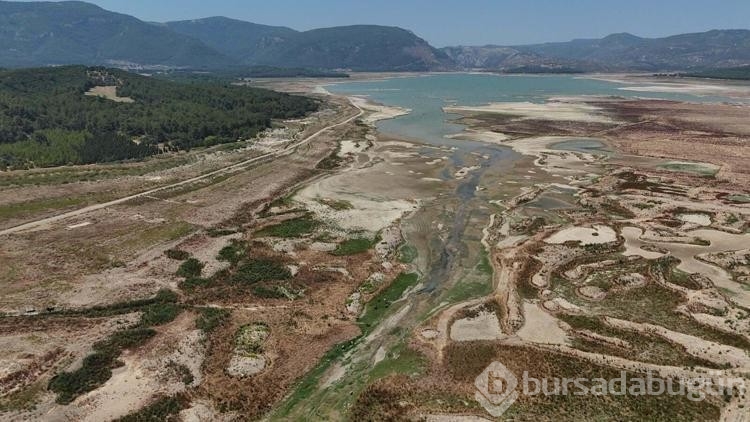 İzmir'in tarım alanları üretimden düşebilir