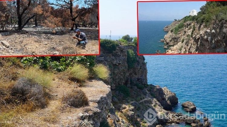 Antalya'da bulunan Lara gelini bitkisi de yangından etkilendi!