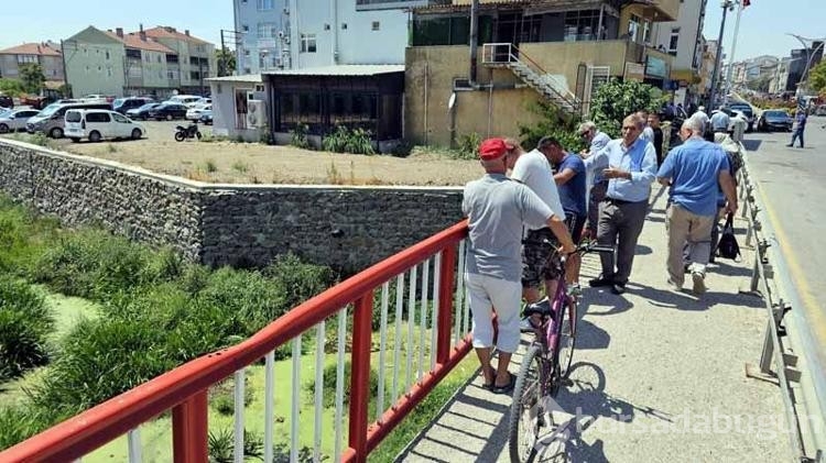 Bulgaristan'daki taşkınlarla Edirne'ye gelen su maymunları!