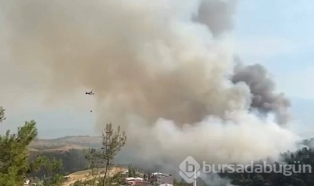 Bursa'da yanan ormanlar dronla görüntülendi!