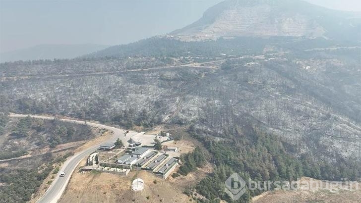 Bursa'da yanan ormanlar dronla görüntülendi!