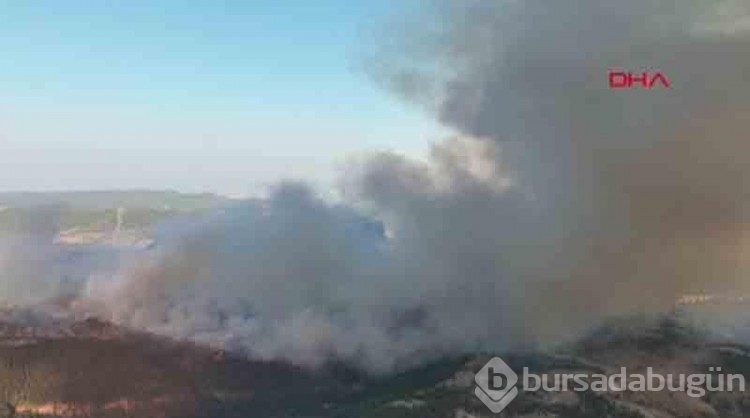 Bursa'da yanan ormanlar dronla görüntülendi!