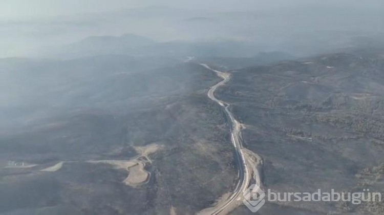 Bursa'da yanan ormanlar dronla görüntülendi!