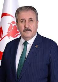Destici: ''Ormanlarımızı bilerek yakanlara idam cezası gündeme gelmeli'' dedi