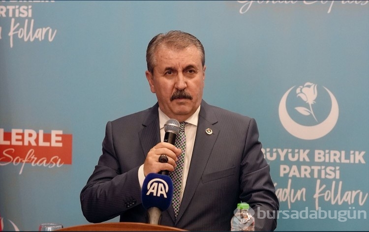 Destici: ''Ormanlarımızı bilerek yakanlara idam cezası gündeme gelmeli'' dedi