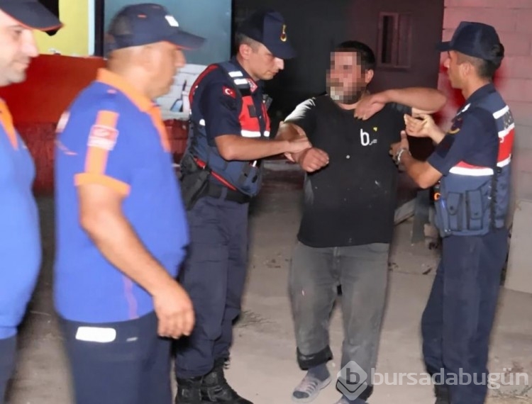 Gece Yarısı Yılan Alarmı: İhbarcı Alkollü Çıktı, Cebinden Oldu!