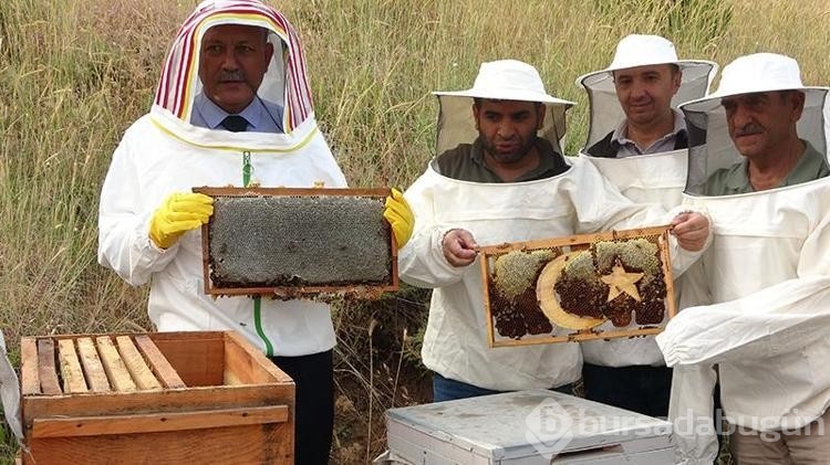 Arıcılık işletmesinde bal hasadı yapıldı!