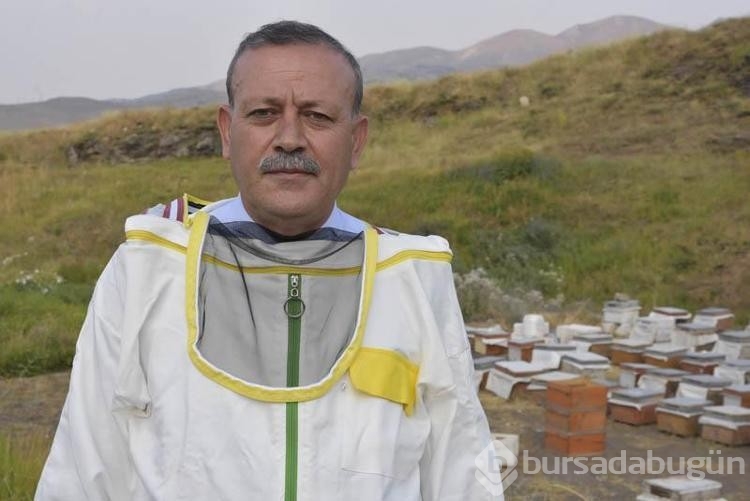 Arıcılık işletmesinde bal hasadı yapıldı!