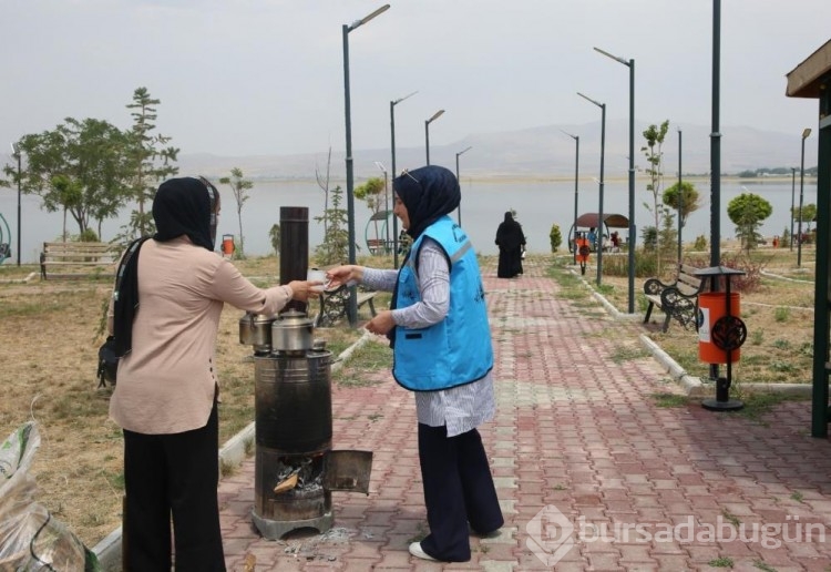 Van Belediyesi gezilere devam ediyor