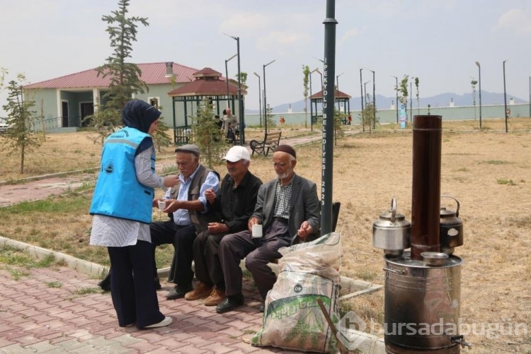 Van Belediyesi gezilere devam ediyor