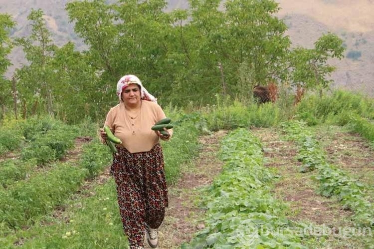 Arıcılığa başlayan anne birçok şehre bal satıyor