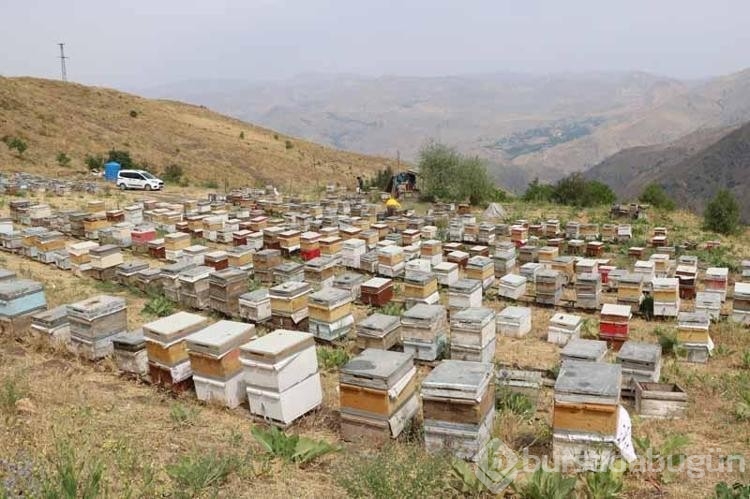 Arıcılığa başlayan anne birçok şehre bal satıyor