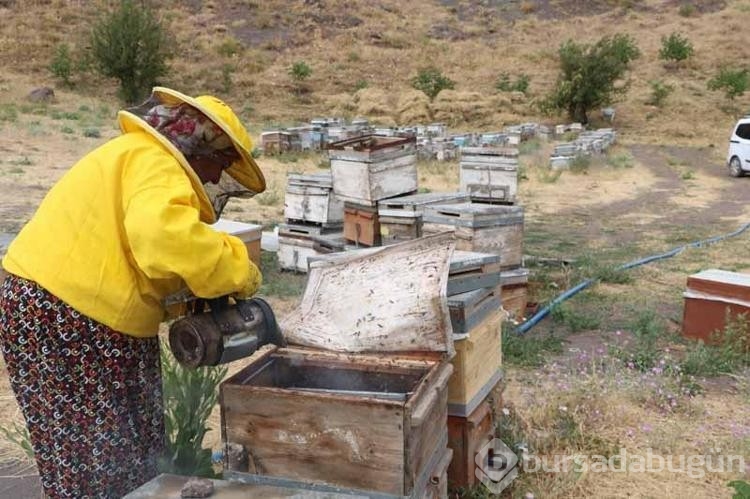 Arıcılığa başlayan anne birçok şehre bal satıyor