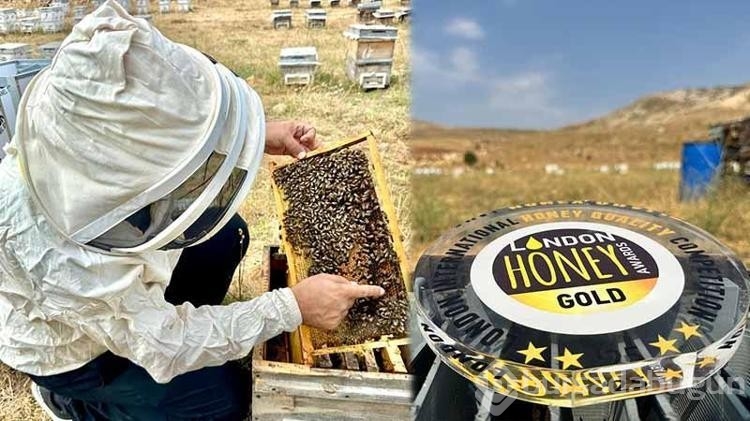Munzur balına Londra'da altın madalya