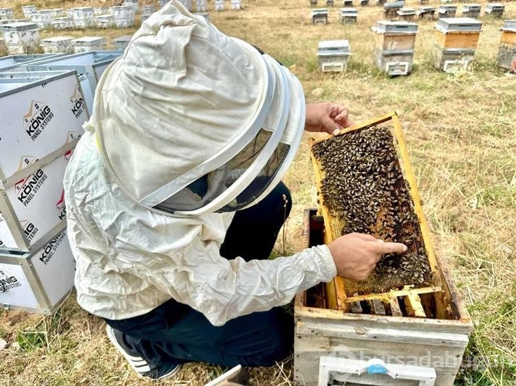 Munzur balına Londra'da altın madalya