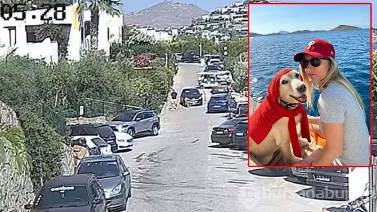 12 yıl önce sahiplendiği köpeği trafik kazasında kaybetti