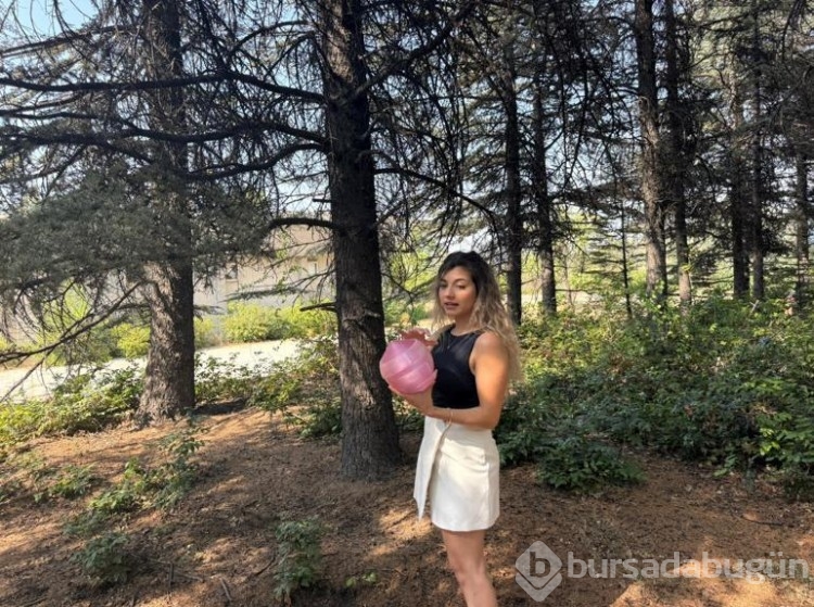Orman yangınlarına karşı pembe küre projesi 
