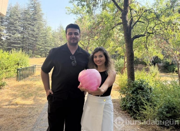 Orman yangınlarına karşı pembe küre projesi 