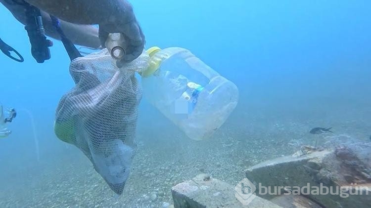 Deniz dibi temizlerken beklenmedik şeylerle karşılaştı!