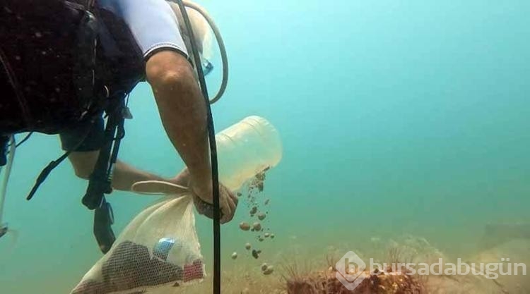 Deniz dibi temizlerken beklenmedik şeylerle karşılaştı!