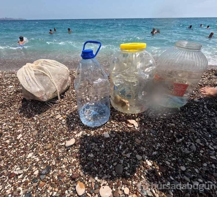 Deniz dibi temizlerken beklenmedik şeylerle karşılaştı!