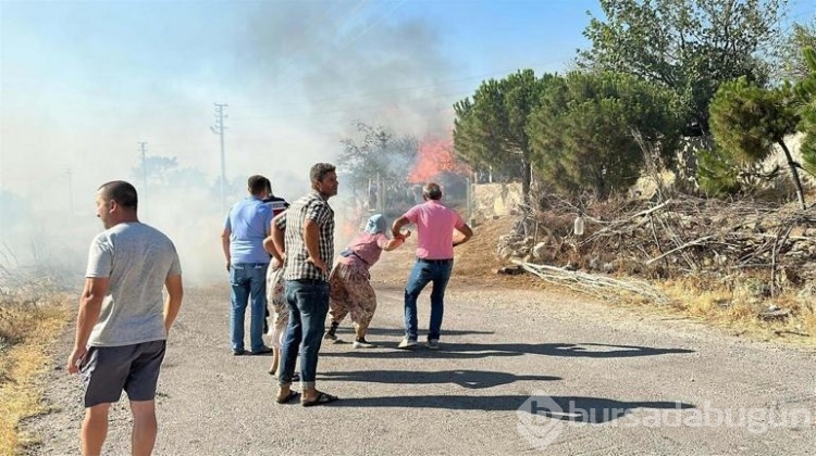 Köyde akli dengesi yerinde olmayan kişiler yangın çıkardı