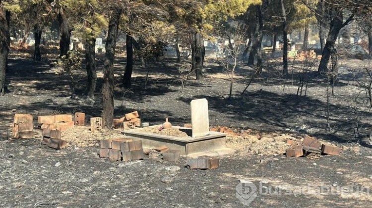 Köyde akli dengesi yerinde olmayan kişiler yangın çıkardı