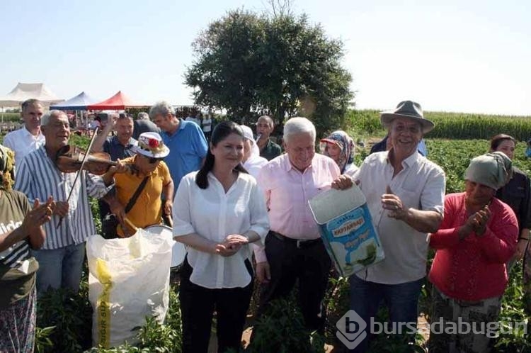 Edirne'de acı biberin hasadı oyun havaları eşliğinde başladı 