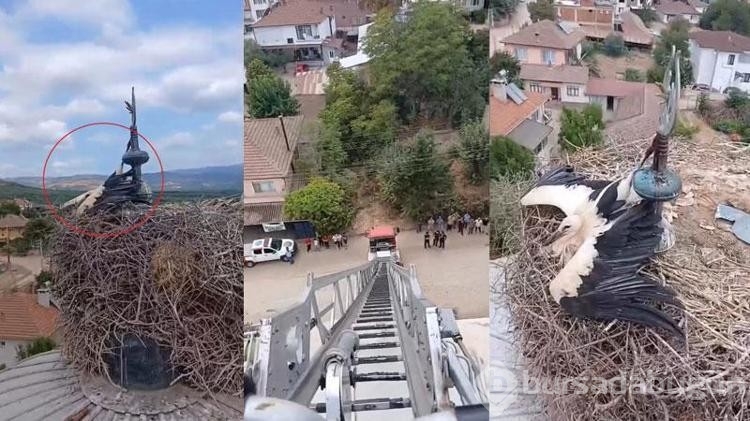 Cami kubbesinde ayağı aleme sıkıştı! Yardımına itfaiye ekibi yetişti...
