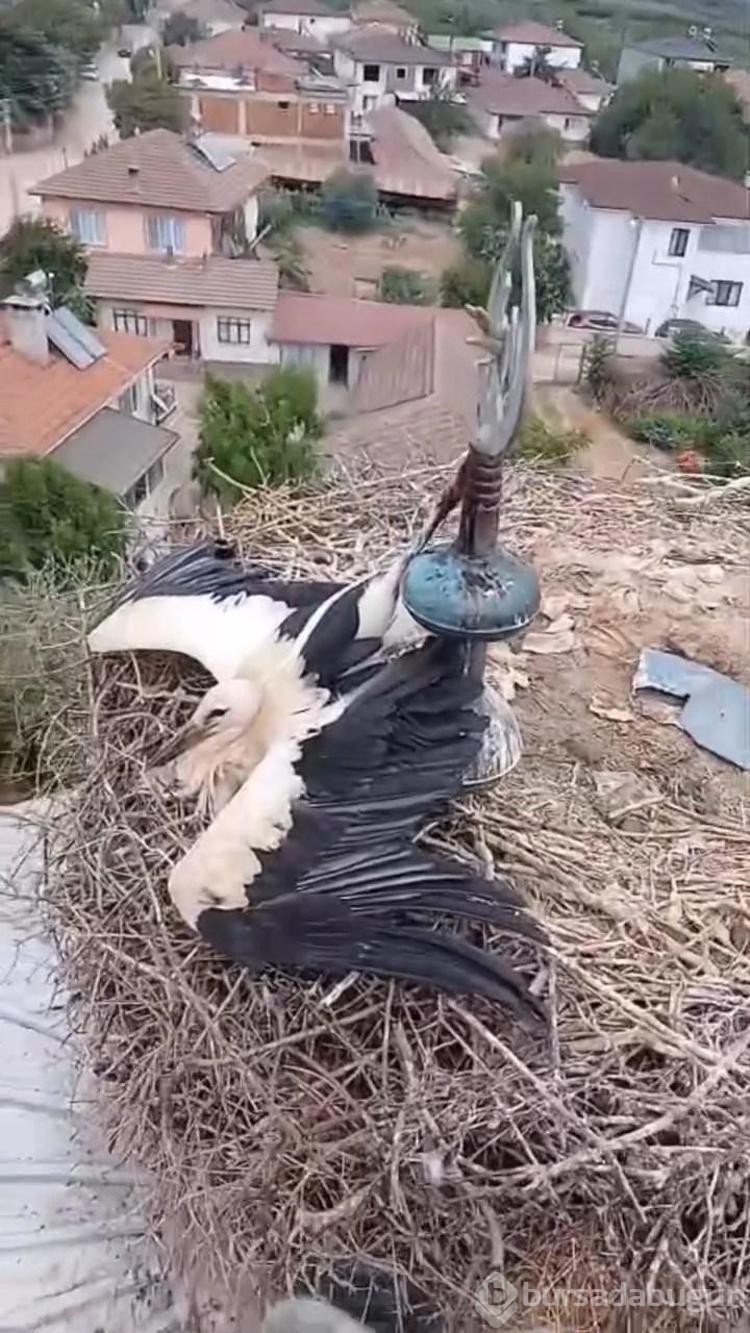 Cami kubbesinde ayağı aleme sıkıştı! Yardımına itfaiye ekibi yetişti...