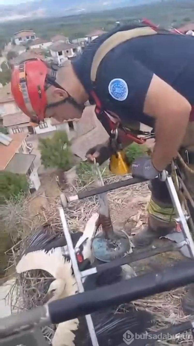 Cami kubbesinde ayağı aleme sıkıştı! Yardımına itfaiye ekibi yetişti...