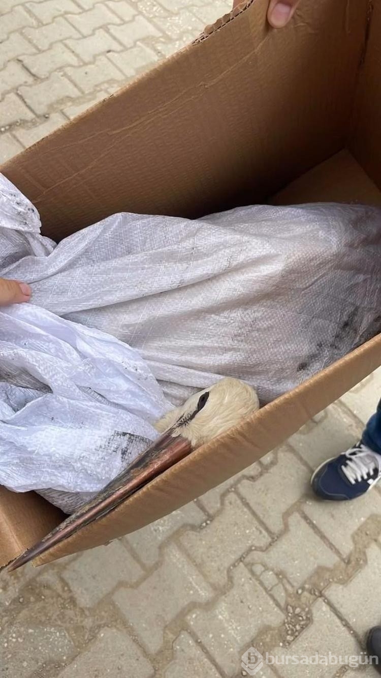 Cami kubbesinde ayağı aleme sıkıştı! Yardımına itfaiye ekibi yetişti...