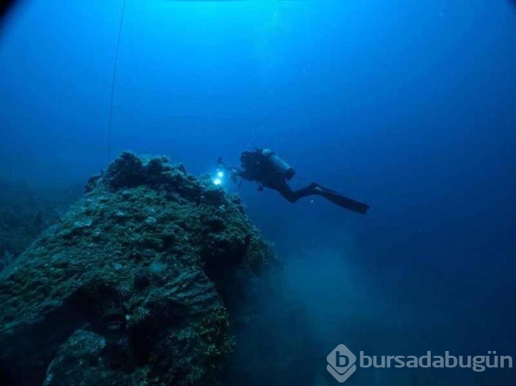 Ayvalık ilçesi yakınlarında hayalet ağ temizlemeleri sürüyor