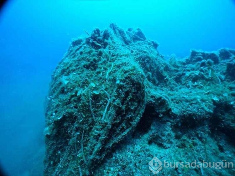 Ayvalık ilçesi yakınlarında hayalet ağ temizlemeleri sürüyor